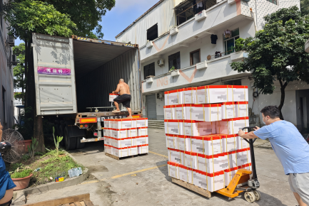 Boente Technology Ships 40HQ Container of CE-Certified Pop-Up Sockets to Europe | PD 65W GaN Fast Charging, Multi-Port Desktop Power Hub